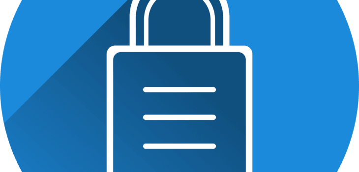 Free castle security locked vector